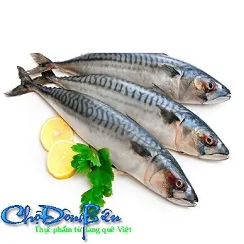 Cá Thu: Bí Quyết Chọn Mua, Bảo Quản Và Cách Nấu Ngon
