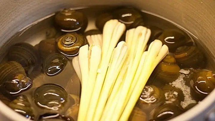 Cách Luộc Ốc Nhồi Ngon Cách Luộc Ốc Nhồi Ngon