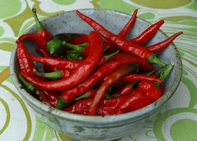 Hướng Dẫn Chi Tiết 5 Cách Sơ Chế Măng Tươi Không Đắng, Giòn Ngon Hướng Dẫn Chi Tiết 5 Cách Sơ Chế Măng Tươi Không Đắng, Giòn Ngon