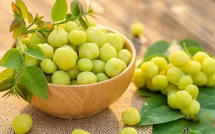 Chùm Ruột Ngâm Rượu Có Tác Dụng Gì