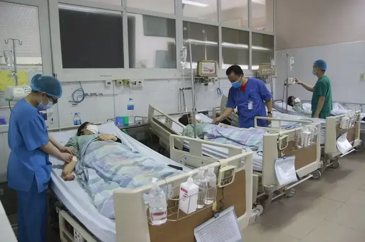 Củ Nần Là Gì? Đặc Điểm Nhận Dạng, Công Dụng Và Cách Chế Biến