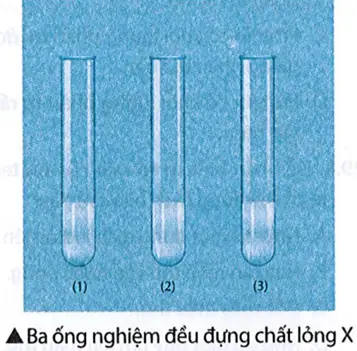 Đậu Hủ Làm Từ Gì? Quy Trình Chi Tiết Và Bí Quyết Thành Công