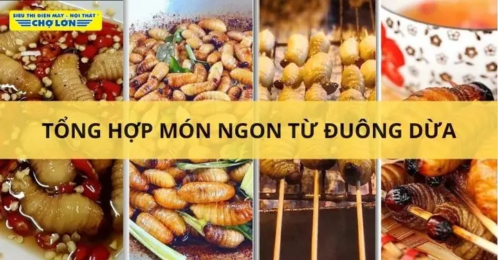 Đuông Dừa Làm Món Gì Ngon? 8 Công Thức Đậm Đà Miền Tây Đuông Dừa Làm Món Gì Ngon? 8 Công Thức Đậm Đà Miền Tây