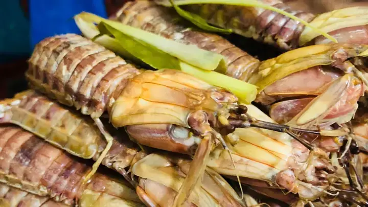 Hấp Bề Bề Chuẩn Vị: Thời Gian Và Bí Quyết Hoàn Hảo