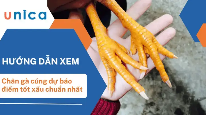 Hướng Dẫn Chuẩn Bị Chân Gà Cúng Đẹp Đúng Phong Tục Hướng Dẫn Chuẩn Bị Chân Gà Cúng Đẹp Đúng Phong Tục