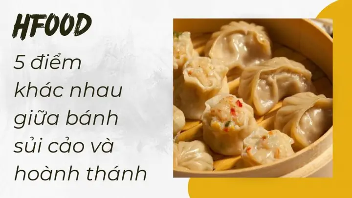 Bánh Sủi Cảo Và Hoành Thánh: 5 Điểm Khác Biệt Cần Biết Bánh Sủi Cảo Và Hoành Thánh: 5 Điểm Khác Biệt Cần Biết