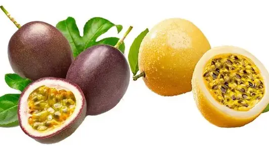 Chanh Dây Vàng Và Tím: Điểm Giống Và Khác Như Thế Nào? Chanh Dây Vàng Và Tím: Điểm Giống Và Khác Như Thế Nào?