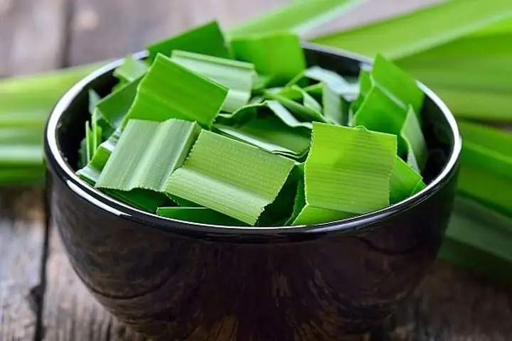 Lá Dứa Và Lá Nếp: Sự Thật, Công Dụng Và Cách Dùng Tối Ưu Lá Dứa Và Lá Nếp: Sự Thật, Công Dụng Và Cách Dùng Tối Ưu