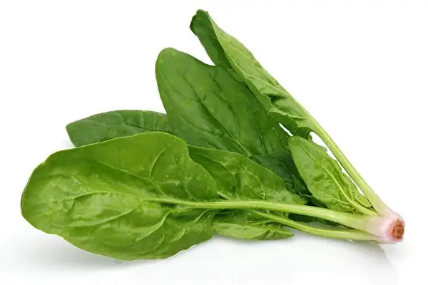 Rau Spinach Là Gì? Tổng Hợp Lợi Ích Và Cách Dùng Chuẩn Rau Spinach Là Gì? Tổng Hợp Lợi Ích Và Cách Dùng Chuẩn