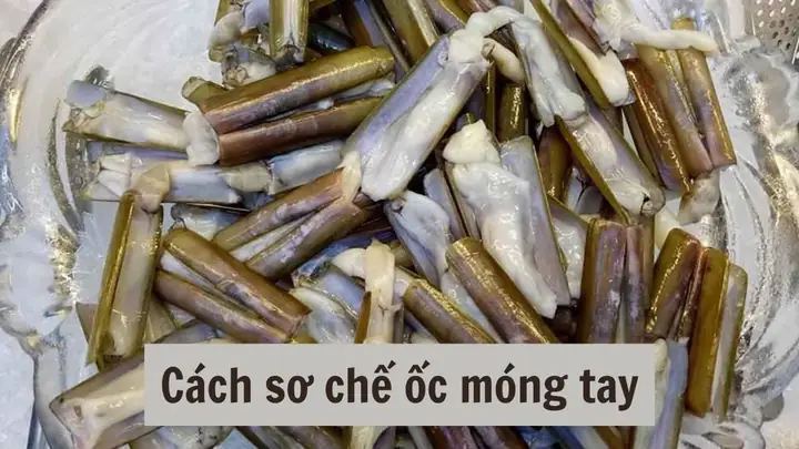 Cách Sơ Chế Ốc Móng Tay Sạch Cát Chuẩn Vàng: Bí Quyết Từ Đầu Bếp Chuyên Nghiệp Cách Sơ Chế Ốc Móng Tay Sạch Cát Chuẩn Vàng: Bí Quyết Từ Đầu Bếp Chuyên Nghiệp