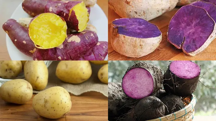 Tên Các Loại Khoai Lang