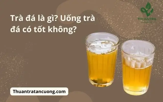 Trà Để Pha Trà Đá: 6 Loại Trà Chuẩn Vị & Bí Quyết Lựa Chọn Trà Để Pha Trà Đá: 6 Loại Trà Chuẩn Vị & Bí Quyết Lựa Chọn