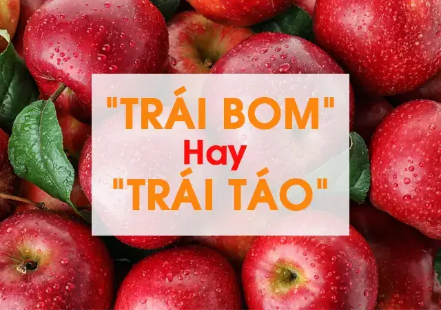 Trái Bơm Và Trái Táo: So Sánh Toàn Diện Về Dinh Dưỡng, Lợi Ích Và Cách Dùng Tối Ưu Trái Bơm Và Trái Táo: So Sánh Toàn Diện Về Dinh Dưỡng, Lợi Ích Và Cách Dùng Tối Ưu