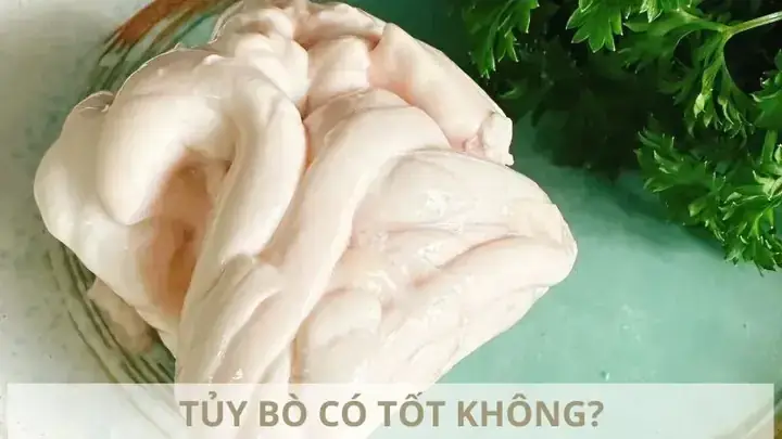 Tủy Bò Có Tác Dụng Gì? Khám Phá Lợi Ích Sức Khỏe Và Cách Dùng Đúng Tủy Bò Có Tác Dụng Gì? Khám Phá Lợi Ích Sức Khỏe Và Cách Dùng Đúng