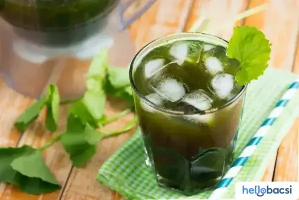 Uống Rau Má Sữa Tốt Không? Phân Tích Toàn Diện Từ Lợi Ích Đến Lưu Ý