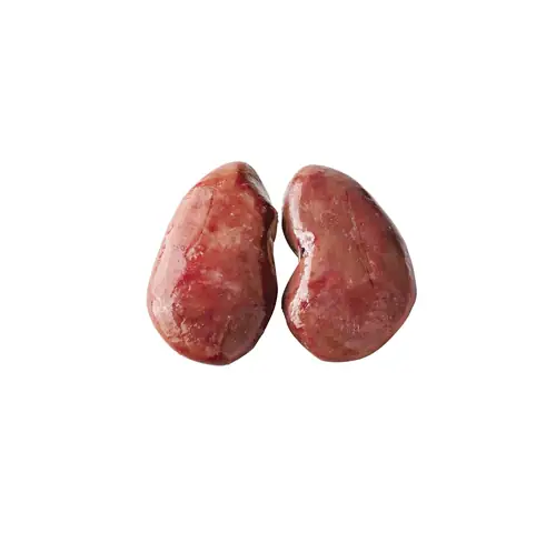 Bầu Dục Lợn Là Gì Bầu Dục Lợn Là Gì