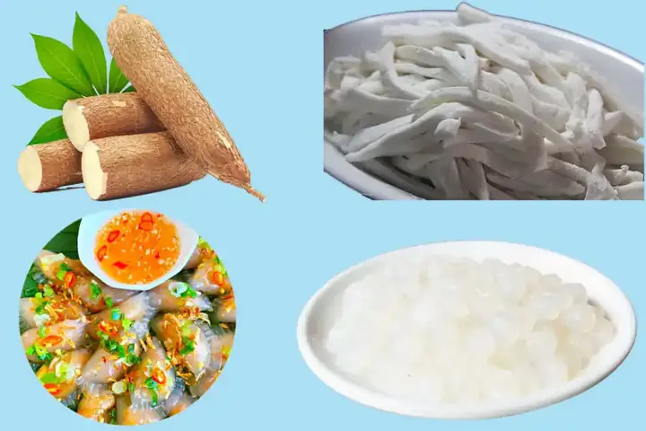 Bột Lọc Là Gì? Làm Từ Củ Gì Và Ứng Dụng Trong Bếp