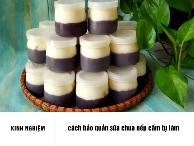 Cách Bảo Quản Sữa Chua Nếp Cẩm Tự Làm Đúng Chuẩn: Giữ Nguyên Vị & Dinh Dưỡng Tối Ưu