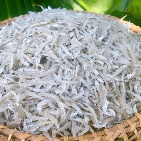 Cách Chế Biến Cá Ngần Khô Cách Chế Biến Cá Ngần Khô