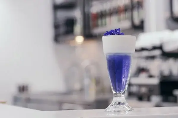 Cách Làm Trà Đậu Biếc Macchiato Chuẩn Vị Cách Làm Trà Đậu Biếc Macchiato Chuẩn Vị