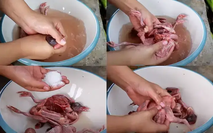Cách Nấu Lẩu Bồ Câu Băm Cách Nấu Lẩu Bồ Câu Băm