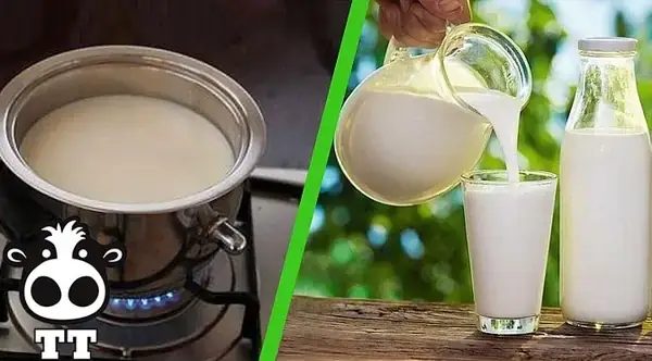 Hướng Dẫn Chi Tiết Cách Nấu Sữa Bò Tươi Thơm Ngon Tại Nhà