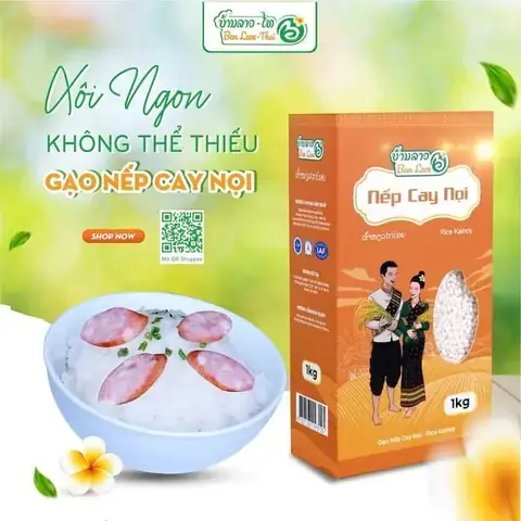 Cách Nấu Xôi Nếp Lào Chuẩn Vị Bằng Nồi Cơm Điện
