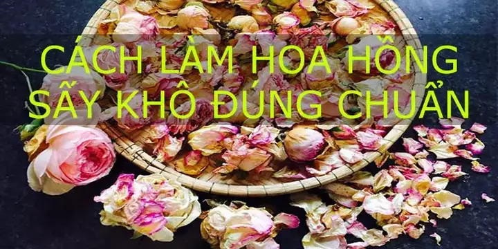Hướng Dẫn Chi Tiết Cách Sấy Hoa Hồng Khô Tại Nhà