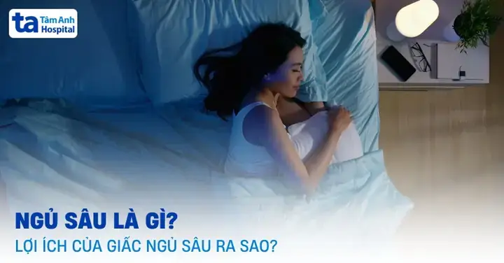 Rượu Cà Na: 7 Công Dụng Vàng Cho Sức Khỏe & Ẩm Thực Rượu Cà Na: 7 Công Dụng Vàng Cho Sức Khỏe & Ẩm Thực