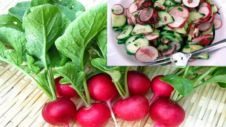 Cách Chế Biến Củ Cải Đỏ: 7 Món Ngon Cho Cả Gia Đình Cách Chế Biến Củ Cải Đỏ: 7 Món Ngon Cho Cả Gia Đình