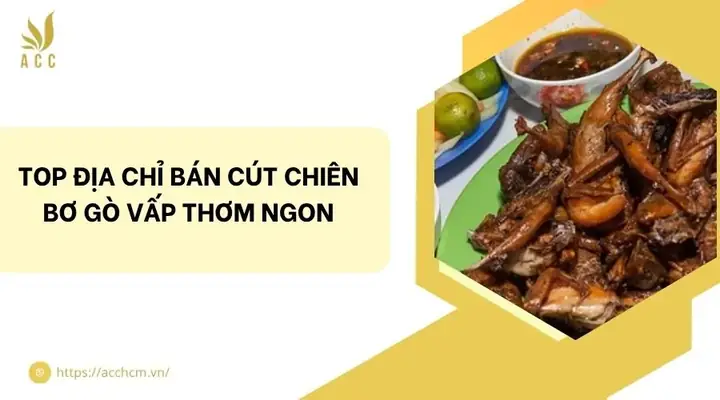 Top 3 Quán Cút Chiên Bơ Gò Vấp Được Đánh Giá Cao Nhất: Phân Tích Chi Tiết Top 3 Quán Cút Chiên Bơ Gò Vấp Được Đánh Giá Cao Nhất: Phân Tích Chi Tiết