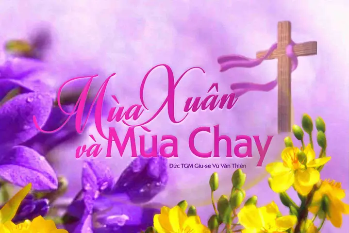 Mam Chung Chay Xuan Hong Mam Chung Chay Xuan Hong
