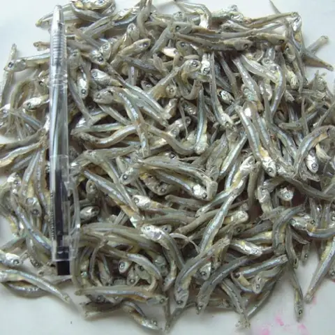 Cách Làm Cá Duội Khô Sốt Chua Ngọt Chuẩn Vị Cách Làm Cá Duội Khô Sốt Chua Ngọt Chuẩn Vị