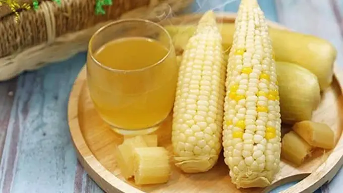 Ngô Nếp: Giá Trị Dinh Dưỡng, Calo Và Các Món Ngon Không Lo Béo Ngô Nếp: Giá Trị Dinh Dưỡng, Calo Và Các Món Ngon Không Lo Béo