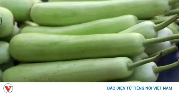 Món Ngon Với Quả Bầu: Công Thức Toàn Tập Cho Bữa Ăn Mùa Hè Món Ngon Với Quả Bầu: Công Thức Toàn Tập Cho Bữa Ăn Mùa Hè