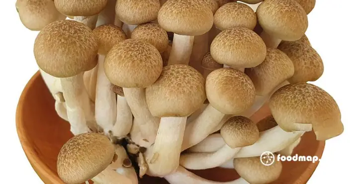 Nấm Linh Chi Nâu Tươi: Cách Sơ Chế, Chế Biến Và Bảo Quản Tối Ưu Nấm Linh Chi Nâu Tươi: Cách Sơ Chế, Chế Biến Và Bảo Quản Tối Ưu