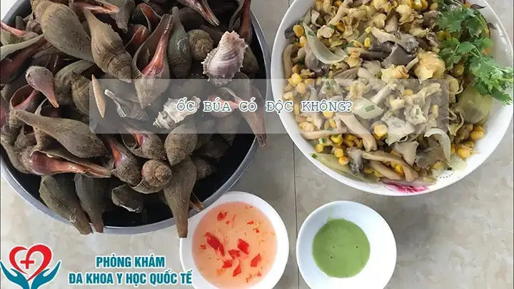 Cách Nấu Ốc Búa Ngon: 15 Công Thức Đỉnh Cao Từ Dân Dã Đến Cao Cấp Cách Nấu Ốc Búa Ngon: 15 Công Thức Đỉnh Cao Từ Dân Dã Đến Cao Cấp
