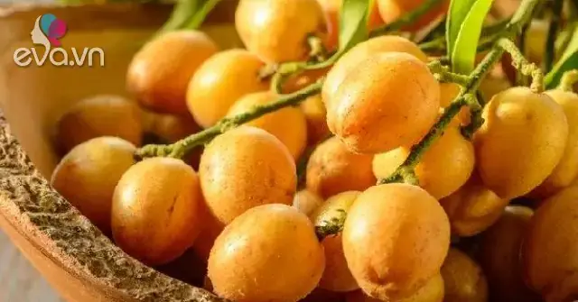 Quất Hồng Bì Có Tốt Cho Bà Bầu? Lợi Ích & Cách Dùng An Toàn Quất Hồng Bì Có Tốt Cho Bà Bầu? Lợi Ích & Cách Dùng An Toàn